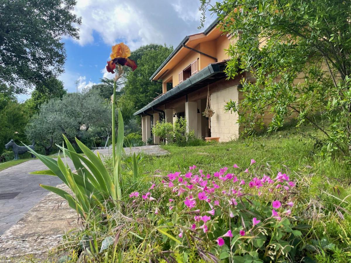 Botanea Guest House Fonte Nuova Ngoại thất bức ảnh